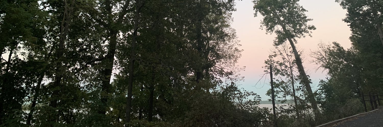tara_beas's profile banner image
