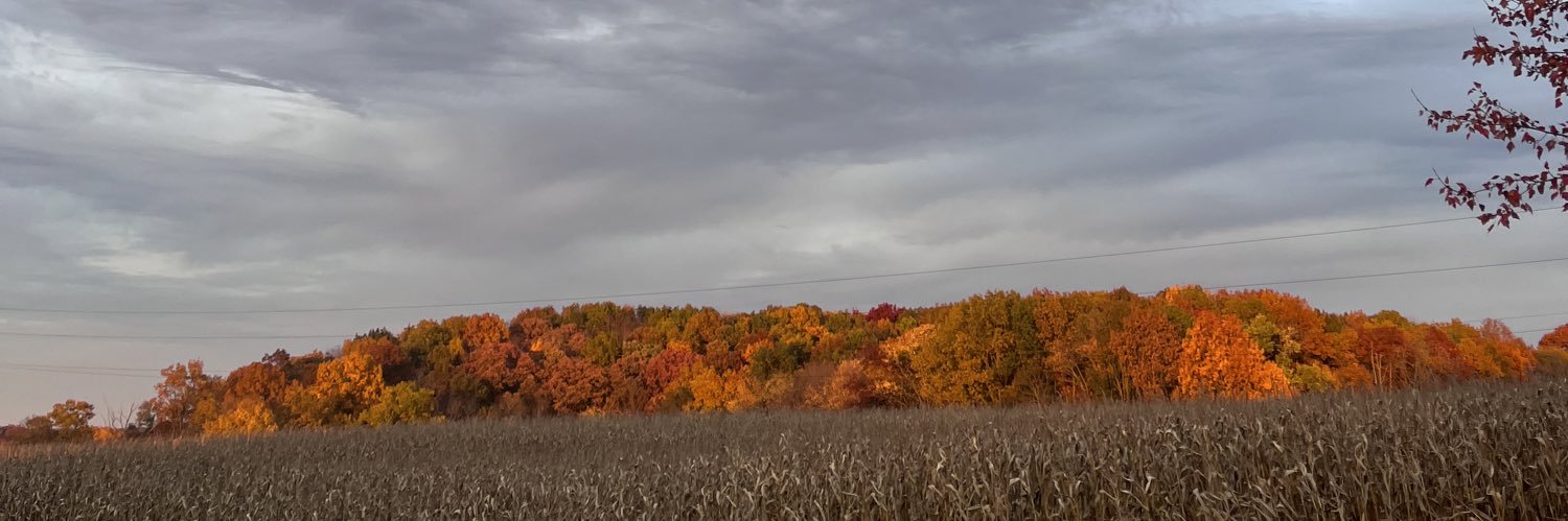 C_lowe2's profile banner image