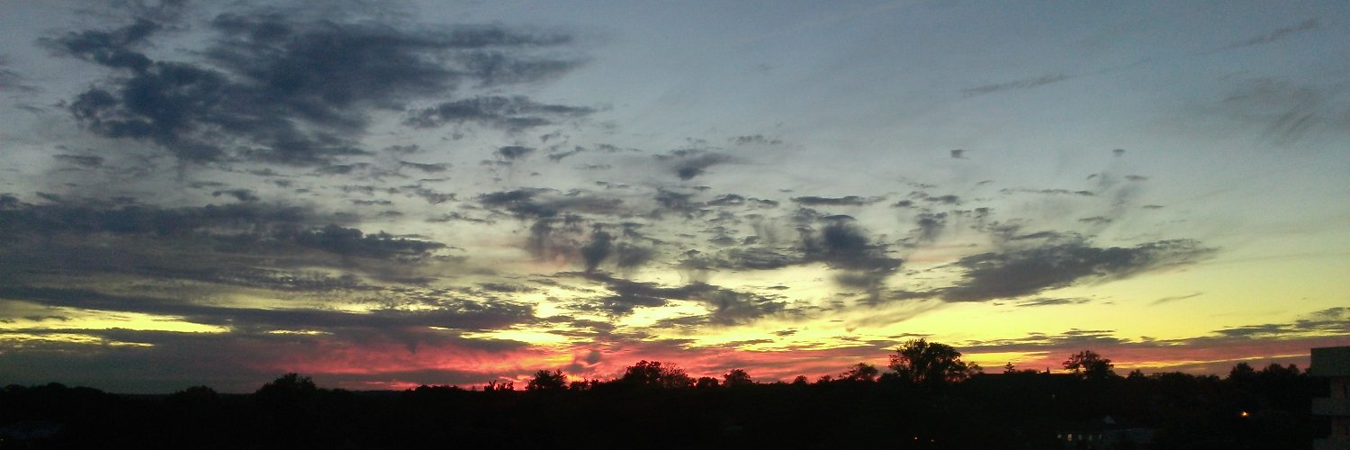 dbrewerton's profile banner image
