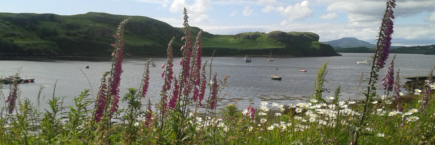 Elena Ierardi banner