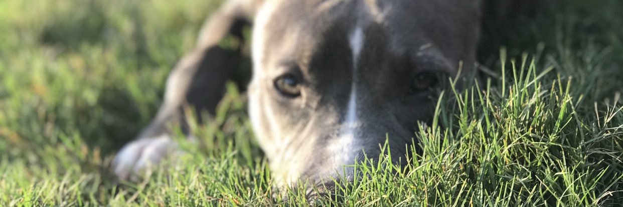 fwash_'s profile banner image