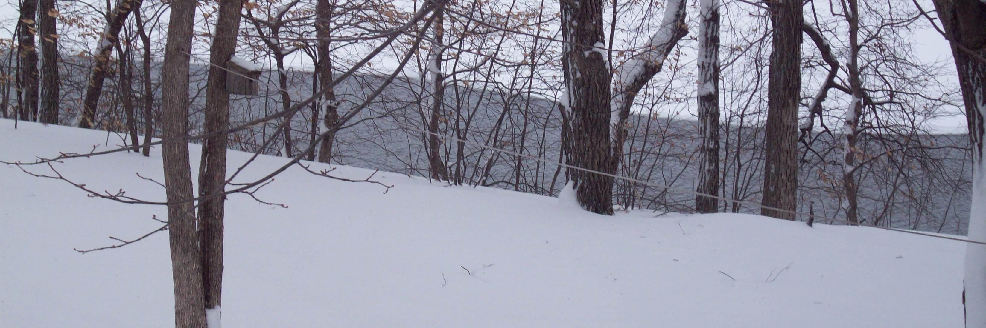 gmleu's profile banner image
