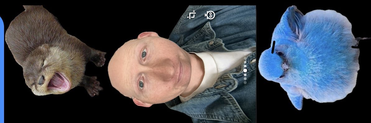 bdasbdasbdas's profile banner image