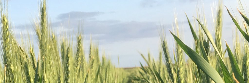 Harry_Brown95's profile banner image