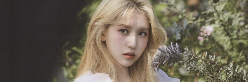 6______ha's profile banner image