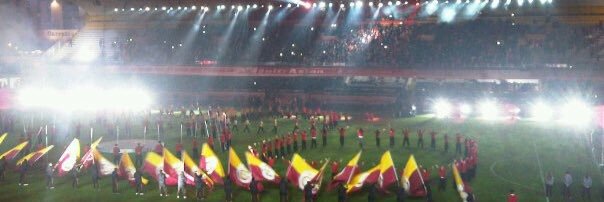 Tunc Bedrioglu banner