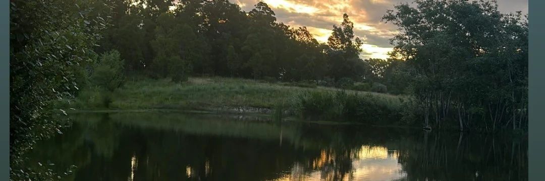 MelanieBaleman's profile banner image