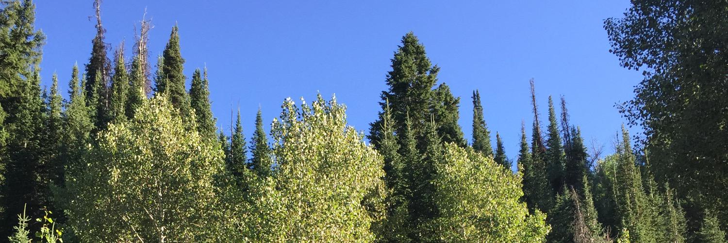 MelBloomfield48's profile banner image