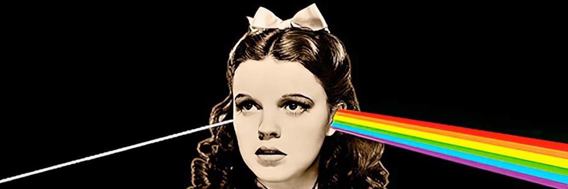 猫伯爵💗설탕🐈 sh2jw.bsky.social banner