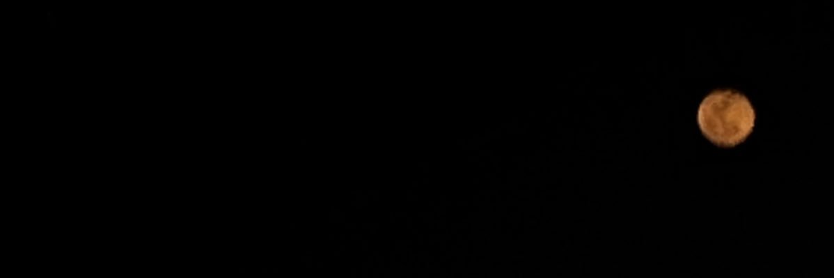 leovbluu's profile banner image