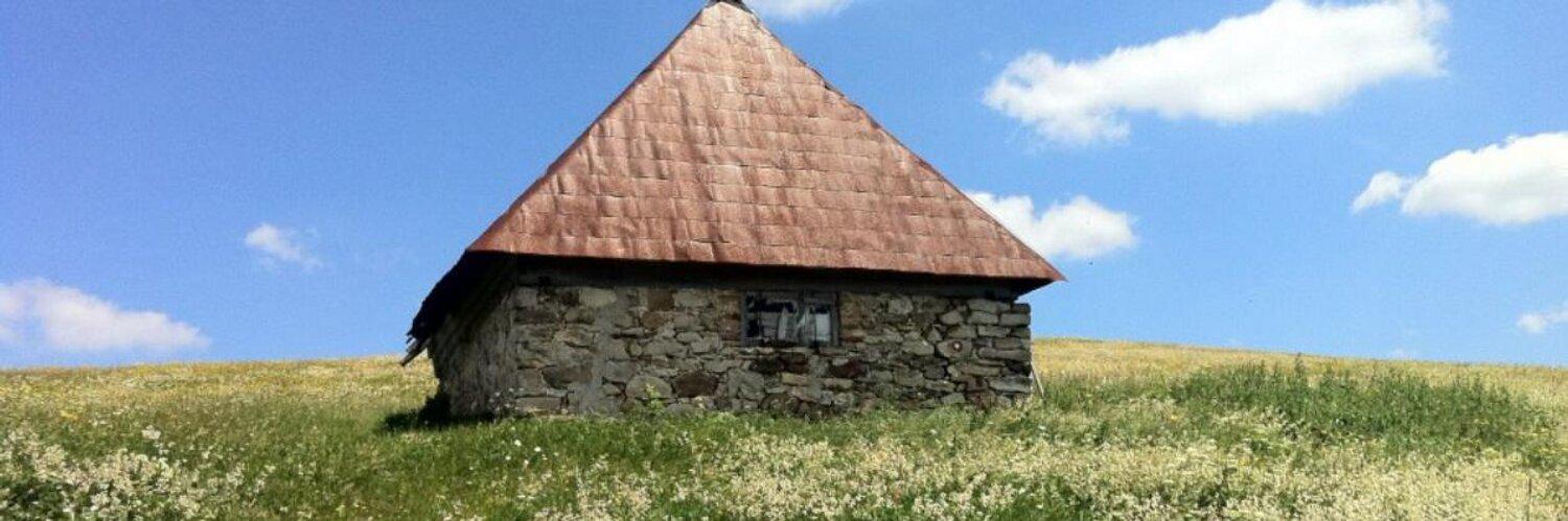 michaelina jakala banner