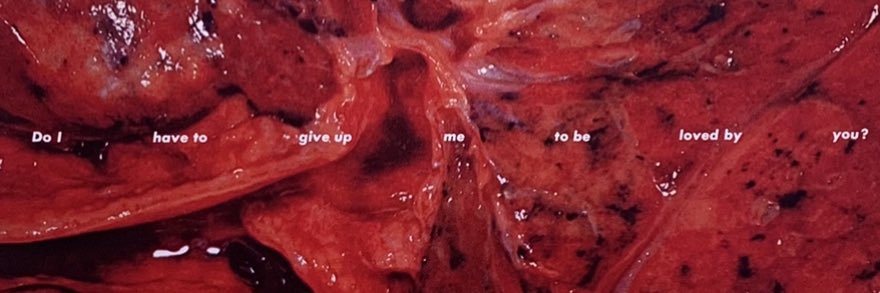 Corrin Luella Avchin banner