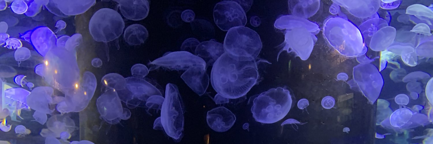 paulinamb2000's profile banner image