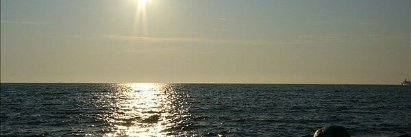 CorevihLvdr's profile banner image