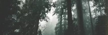 planetalina's profile banner image
