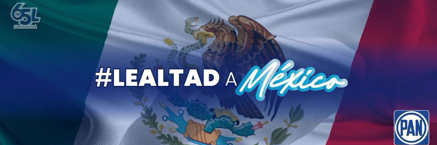 Fernando Torres G. banner