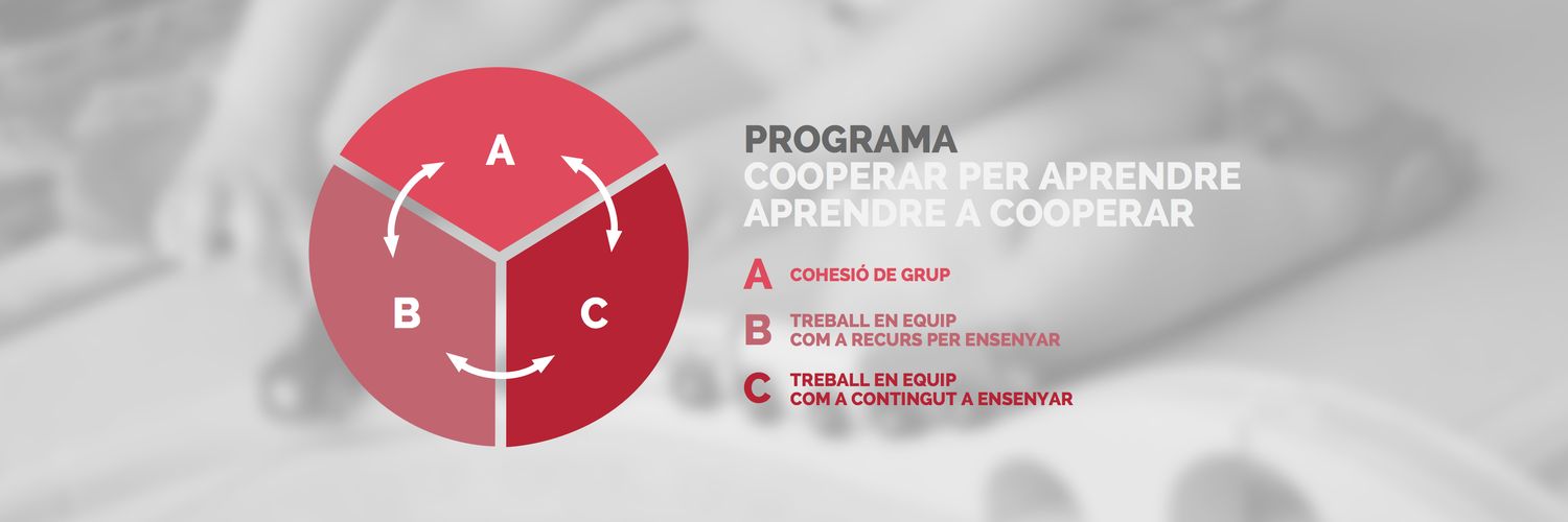 programaCAAC's profile banner image