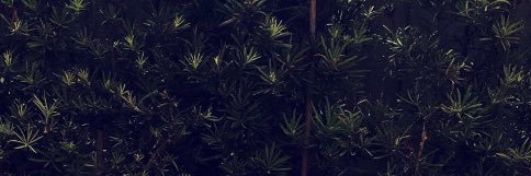 Jupiter_Jian's profile banner image