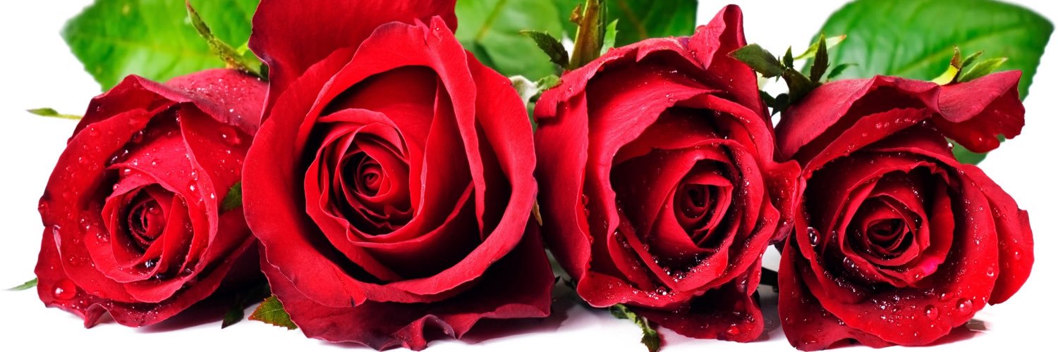 jennrose_x's profile banner image