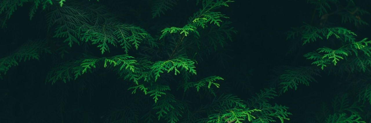 ezra_lee's profile banner image