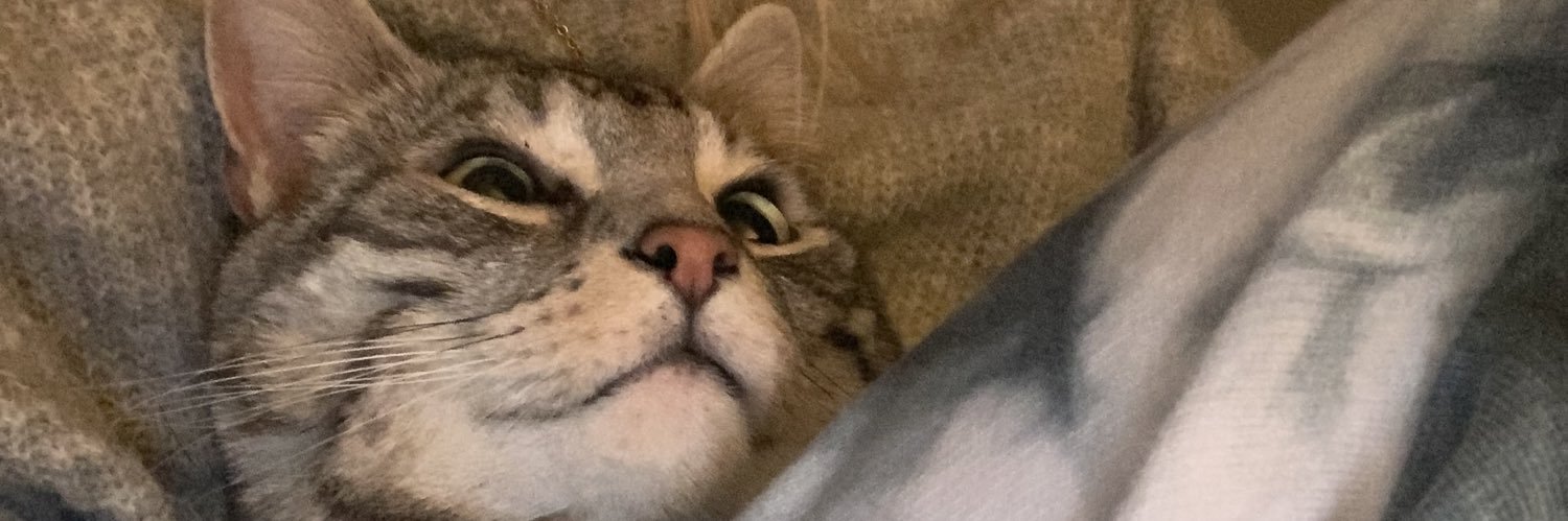 mxllyvnn's profile banner image