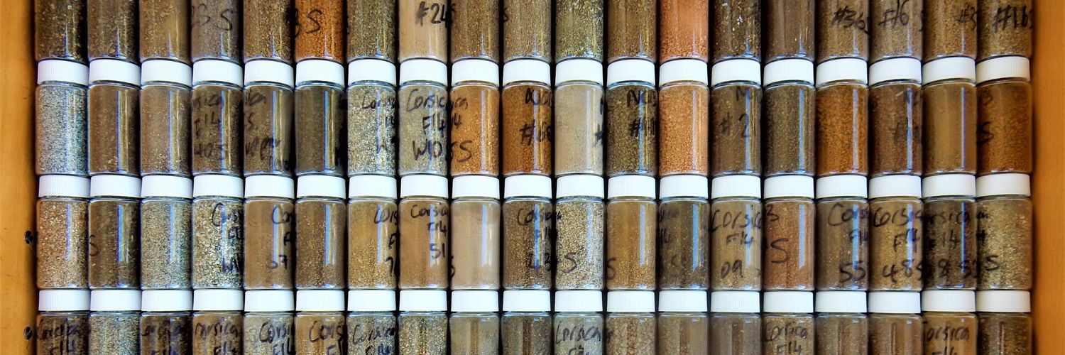 Dr. Hannah James @toothdetective.bsky.social banner