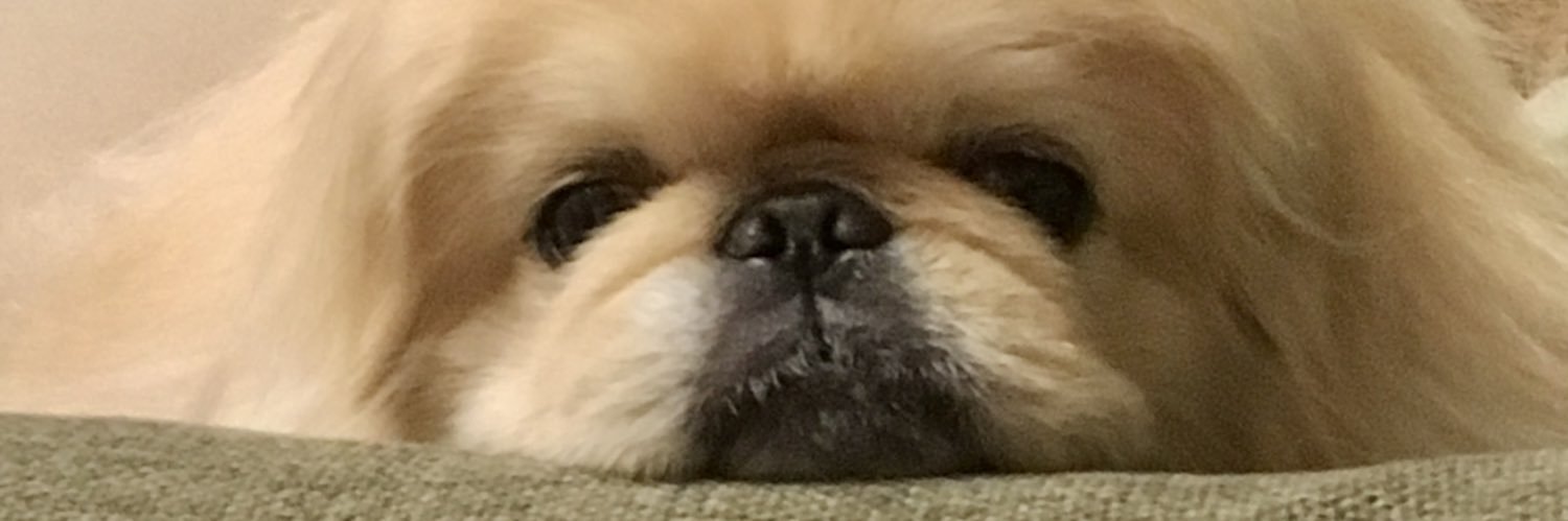 es_kuma's profile banner image
