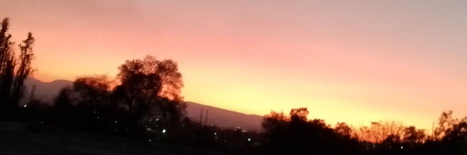 AelinPark's profile banner image