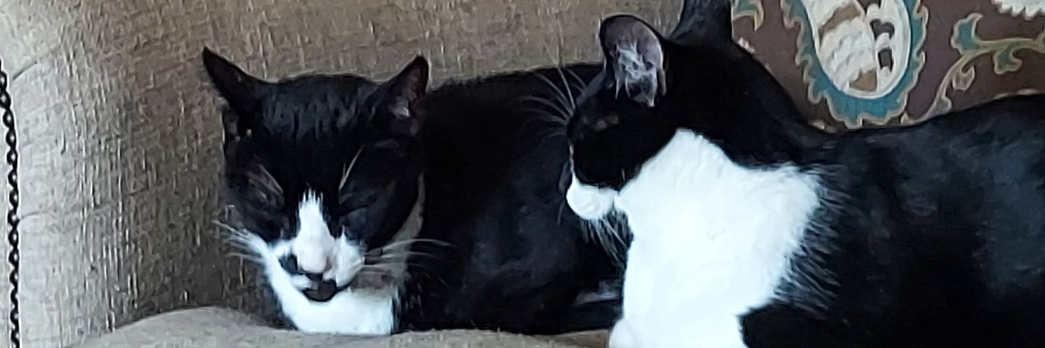 Cliff_Coats's profile banner image