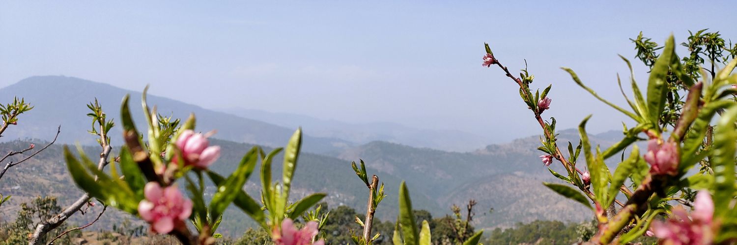 Moni_sha02's profile banner image