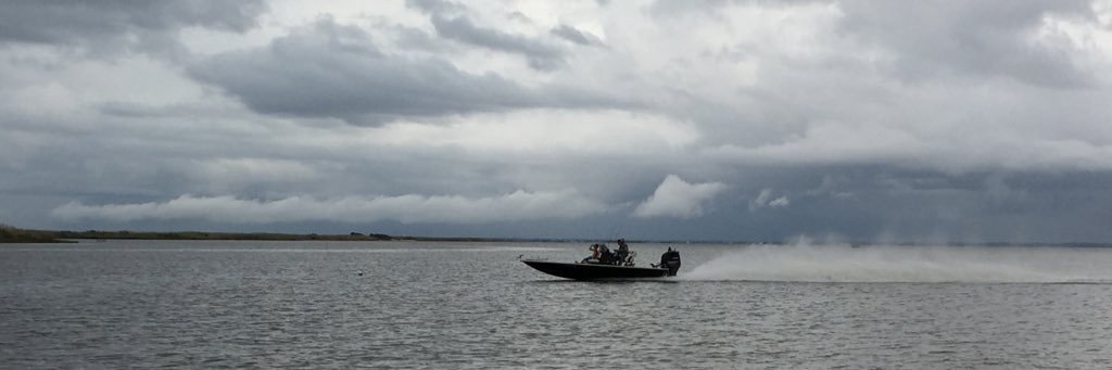 whiterock86's profile banner image