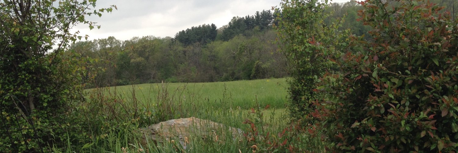 Cortney banner