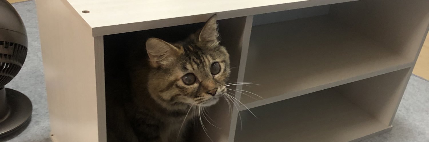 ゆーやちゃん（母管理 banner