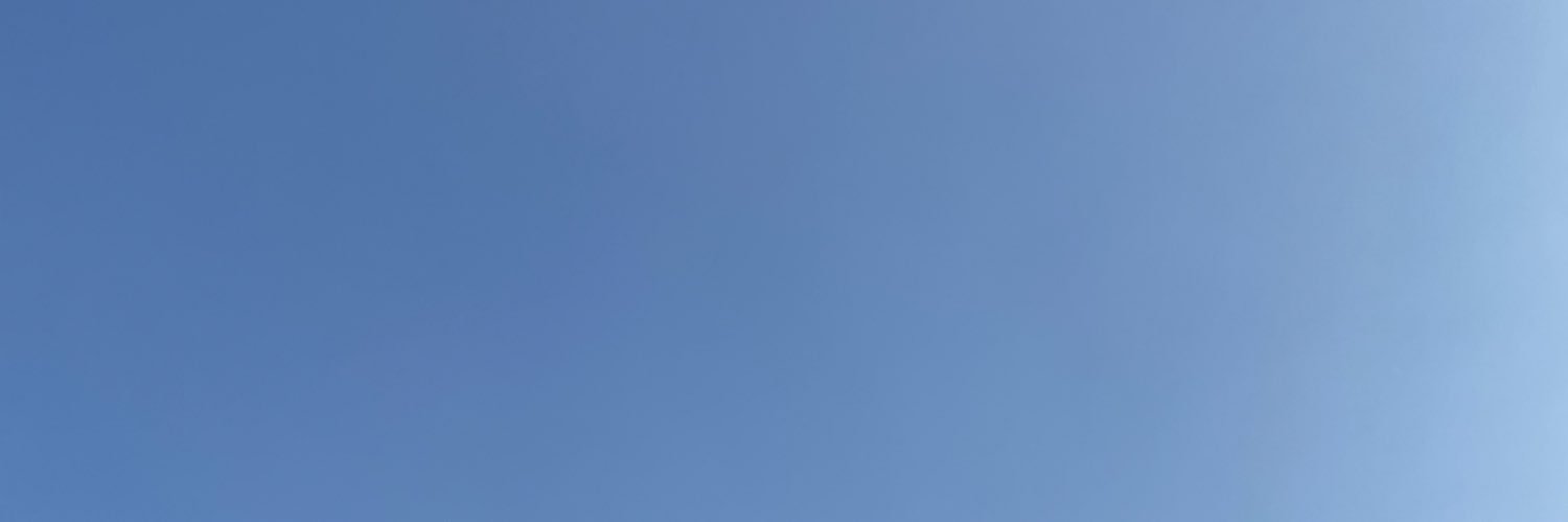 Grace Lam banner
