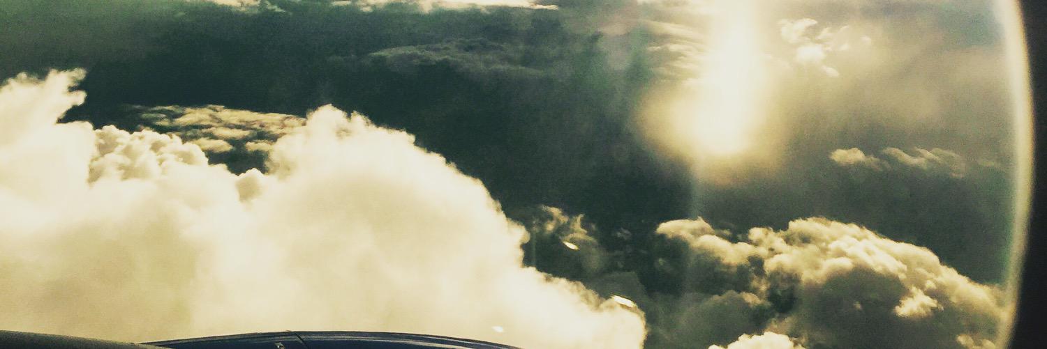 chellydow's profile banner image