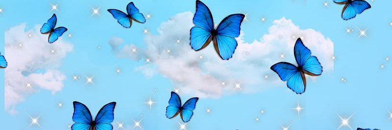 OkamiWhitewings's profile banner image