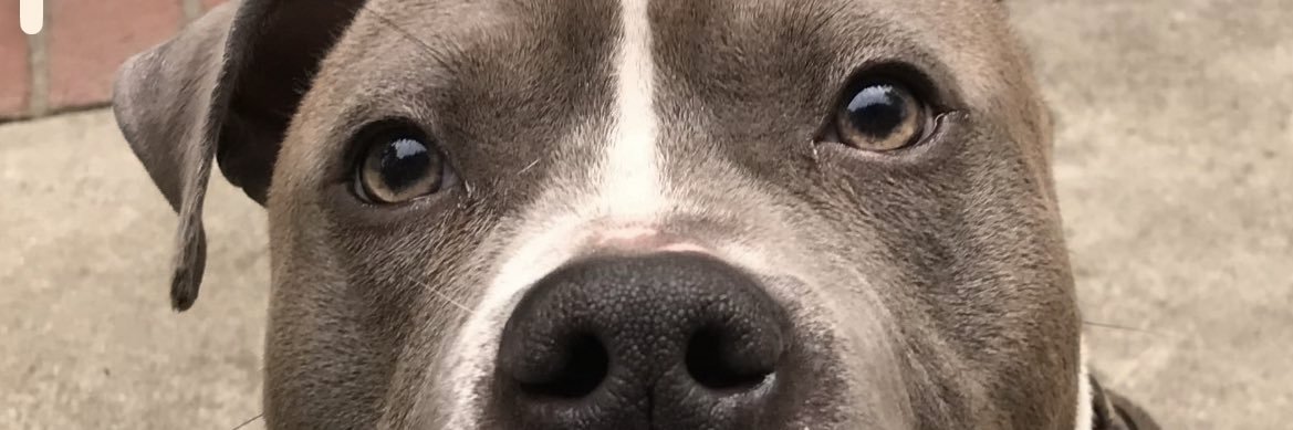 ianjsl1's profile banner image