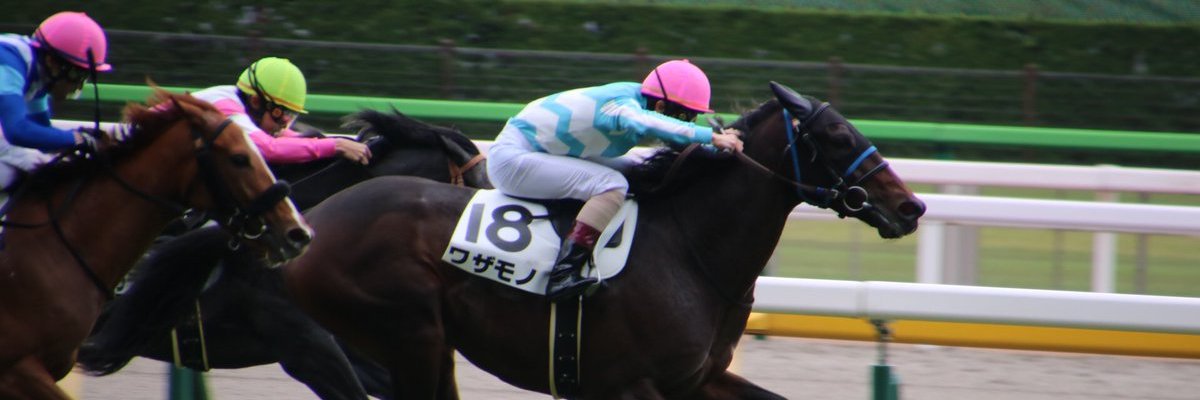 Ffalconoke's profile banner image
