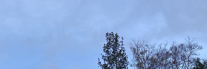 J220589's profile banner image