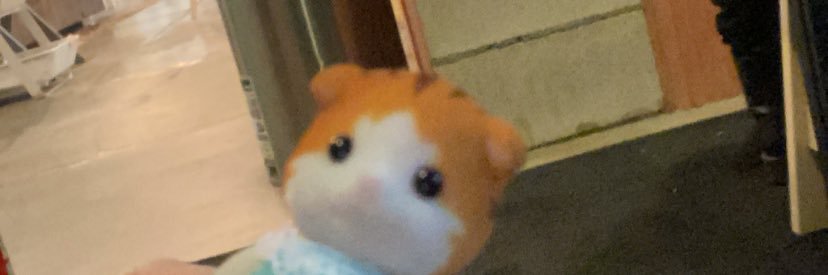 sumikko_naha's profile banner image