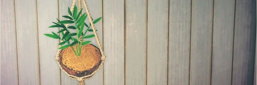K_d_y_r's profile banner image