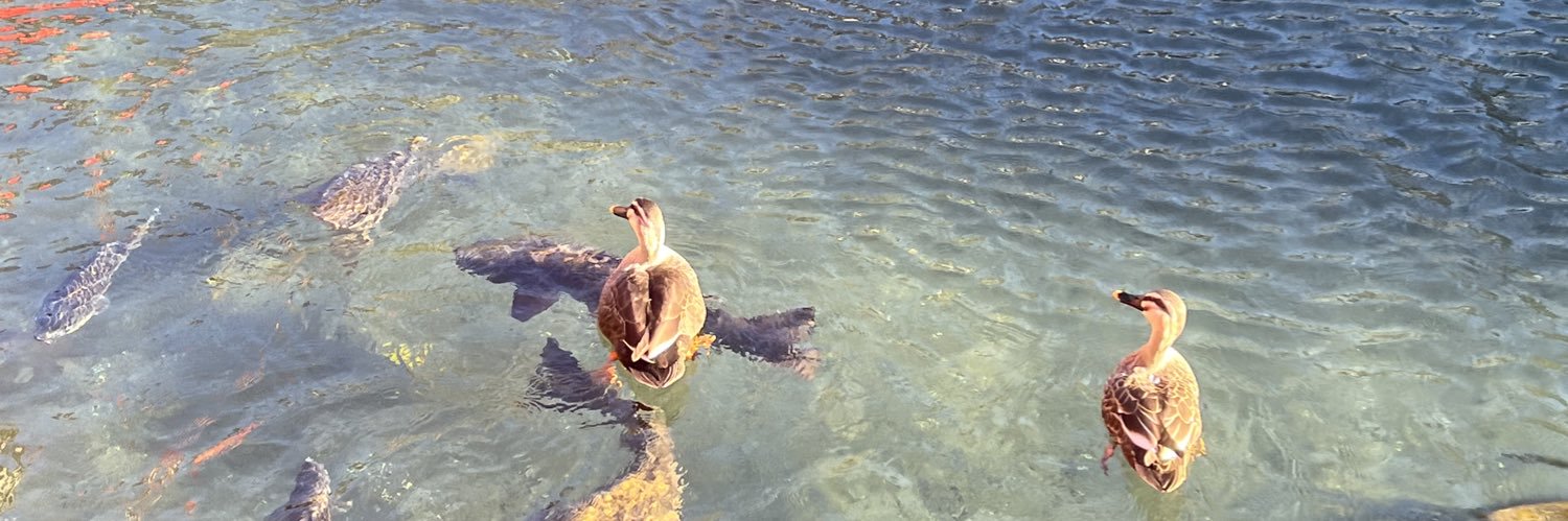 Bucky;~;🦔🦔🦔 #BiggestFan banner