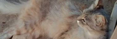 imah2188's profile banner image