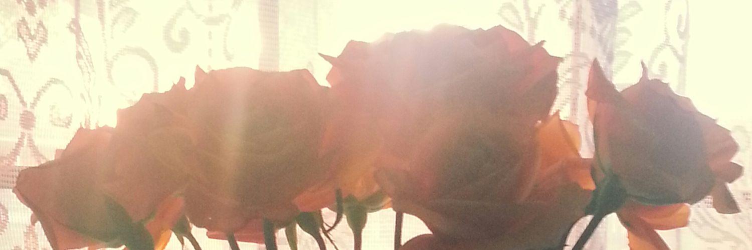 MeganScevers's profile banner image