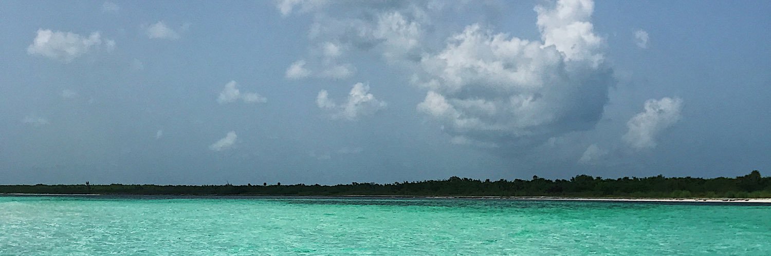 tanisol_31's profile banner image