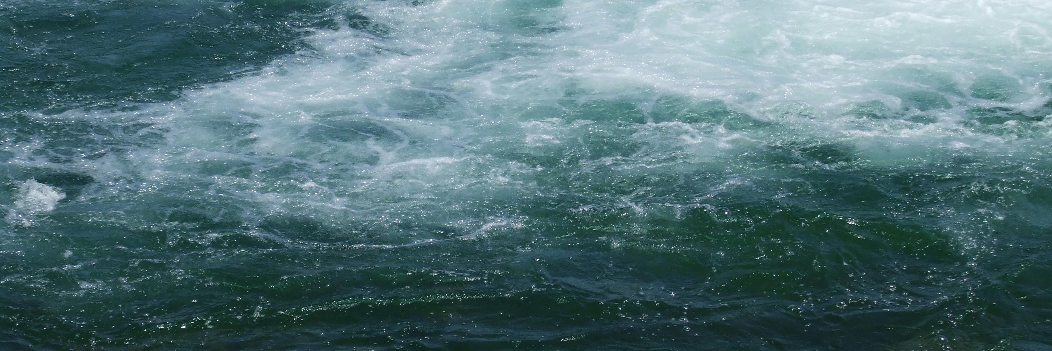 Terry Kingsmill banner