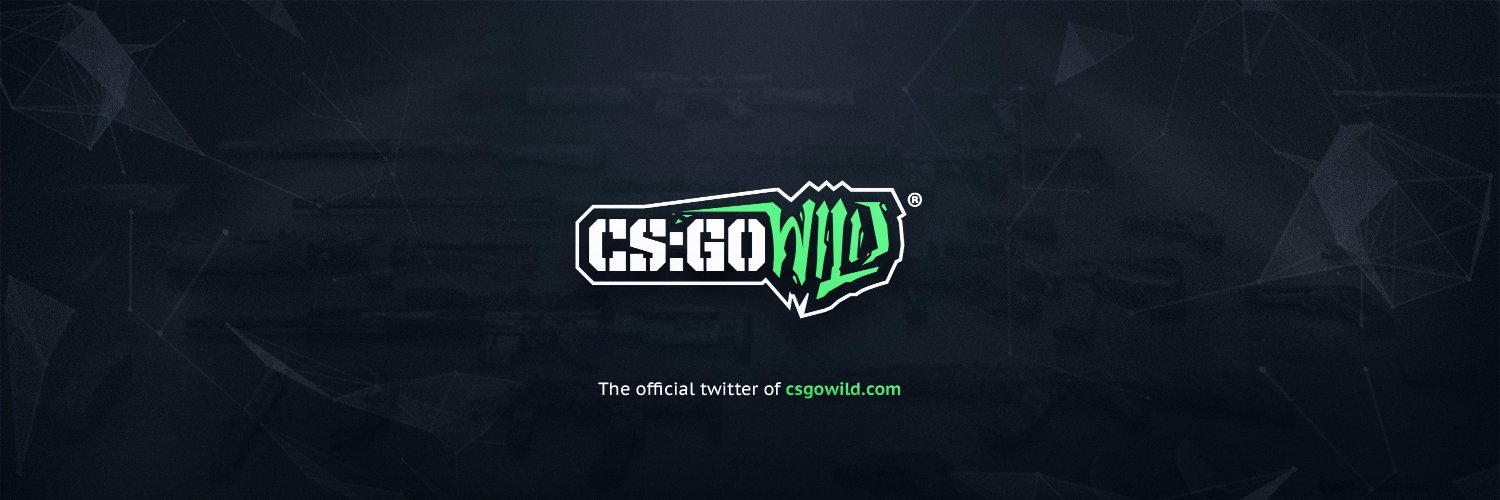 CSGOWild Profile Banner