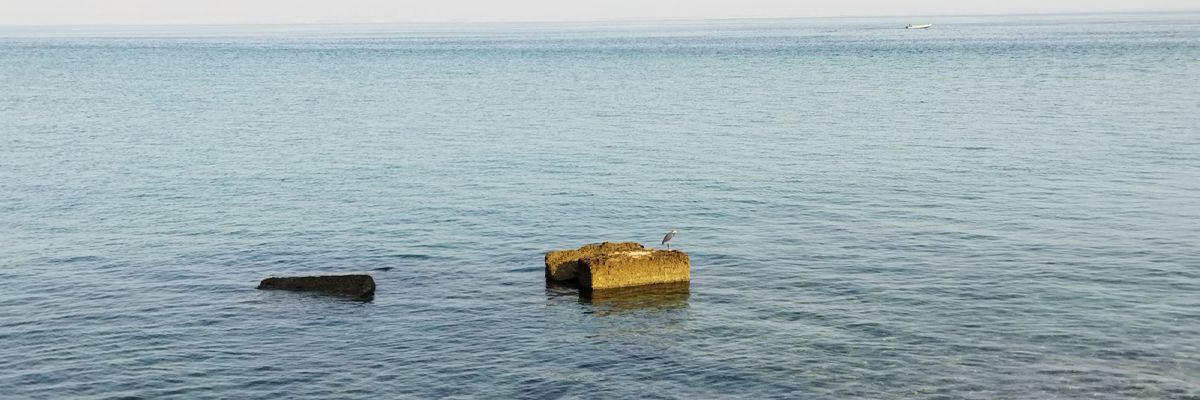 BehRad1966's profile banner image