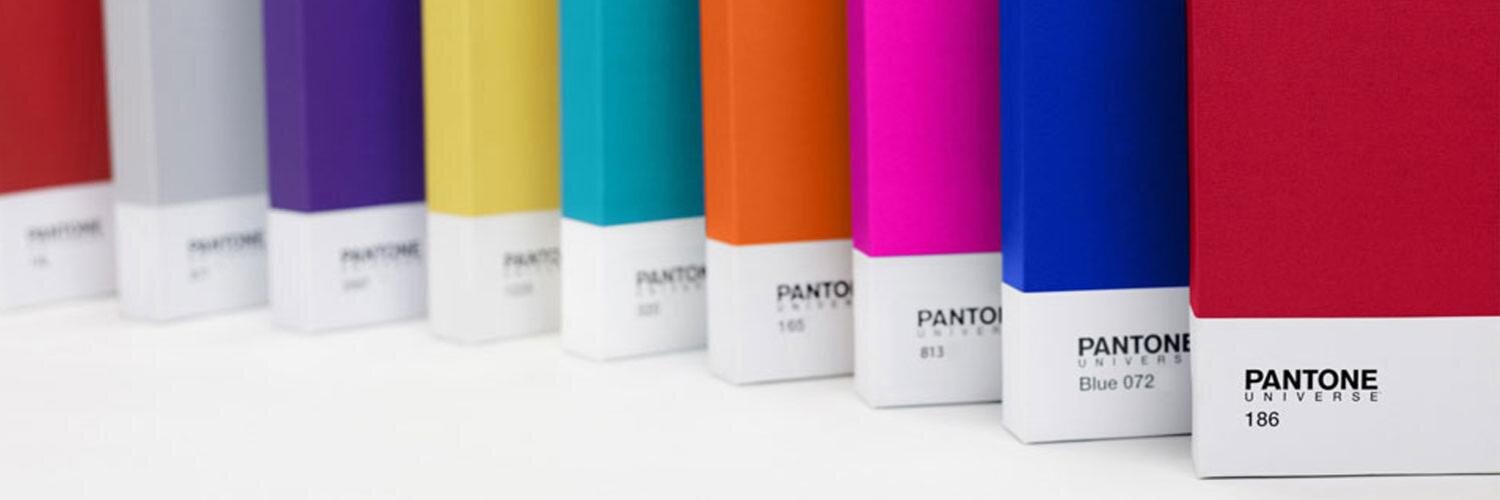 Jeanine Ferreira banner