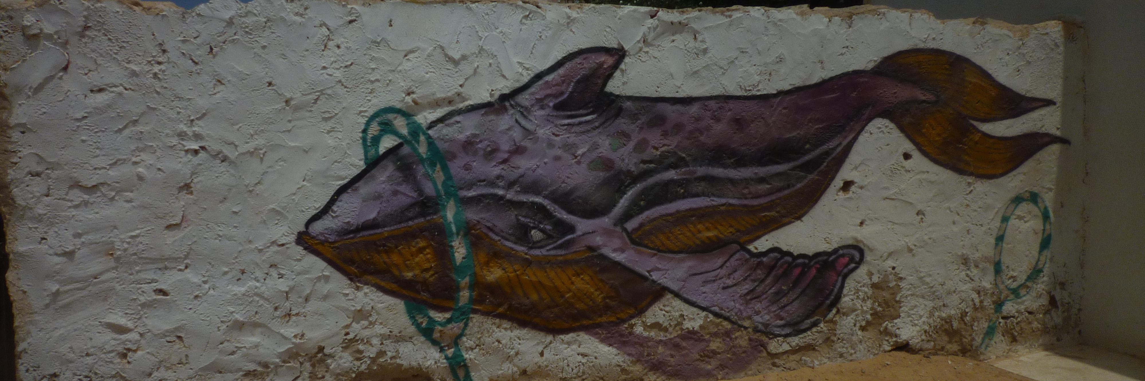 Valentina Zagaria banner